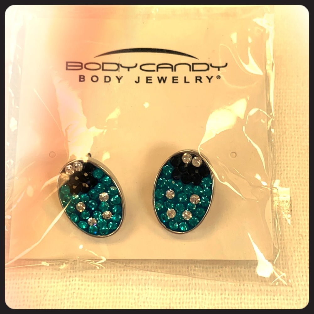 Ladybug earrings